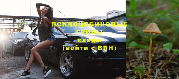 гашик Армянск