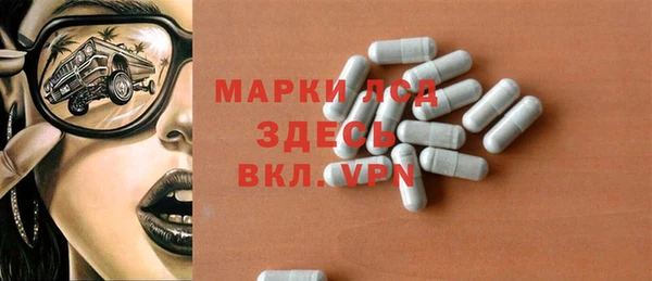 шишки Аркадак
