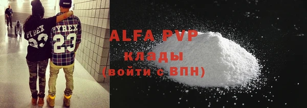 молекула духа Арсеньев