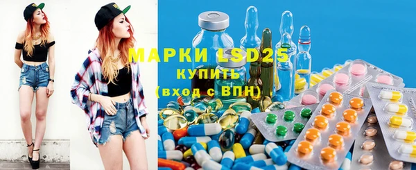 PSILOCYBIN Семёнов