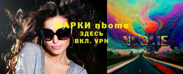 шишки Аркадак