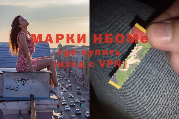 шишки Баксан