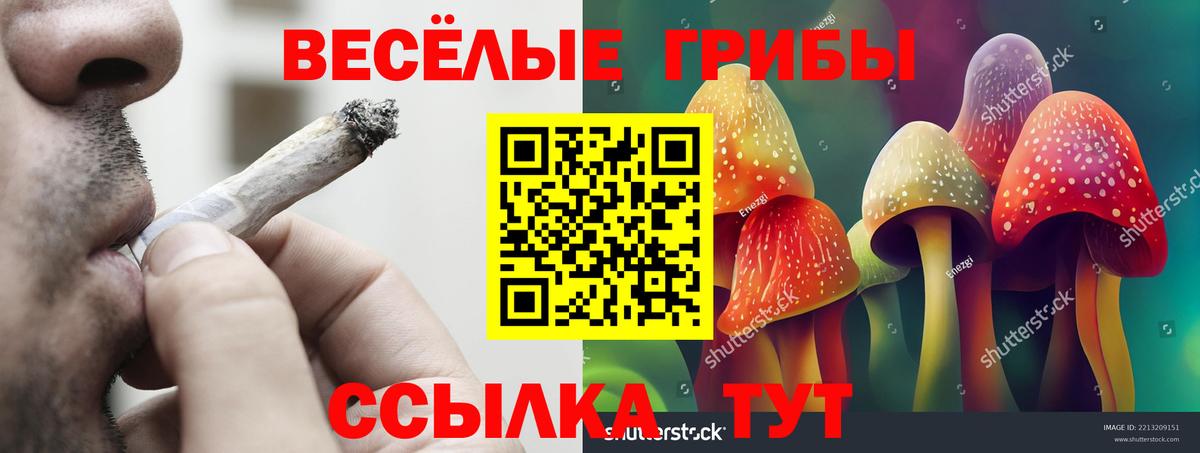 Галлюциногенные грибы Cubensis  Вход с VPN  Уссурийск 